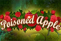 RTP Playngo bit4max